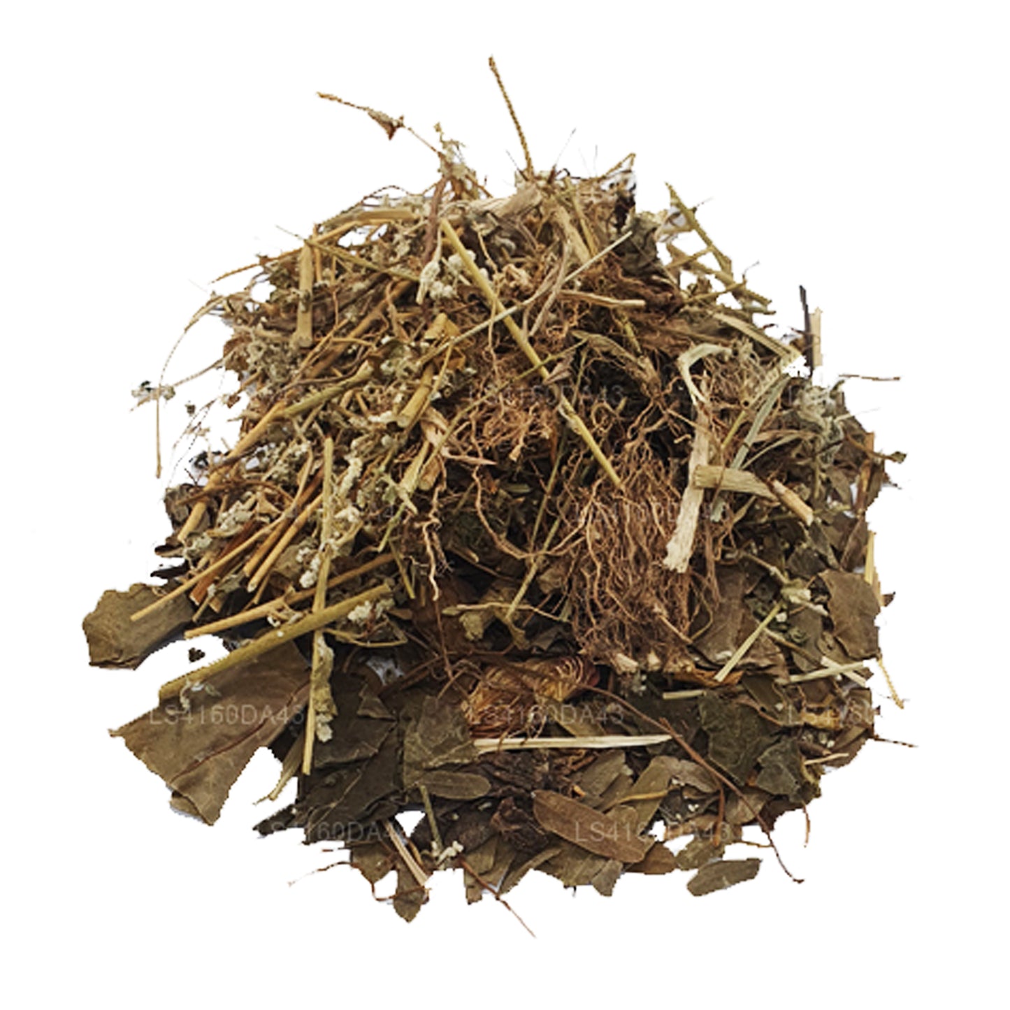 Хела Сувайя — Дум-Хаттия