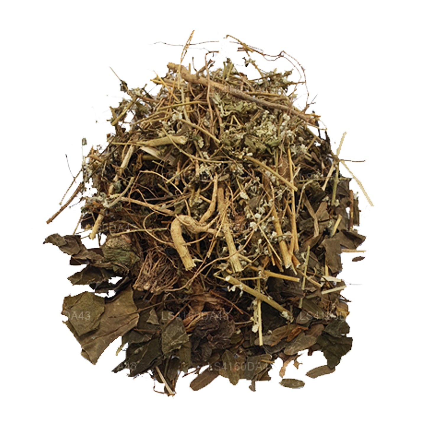 Хела Сувайя — Дум-Хаттия