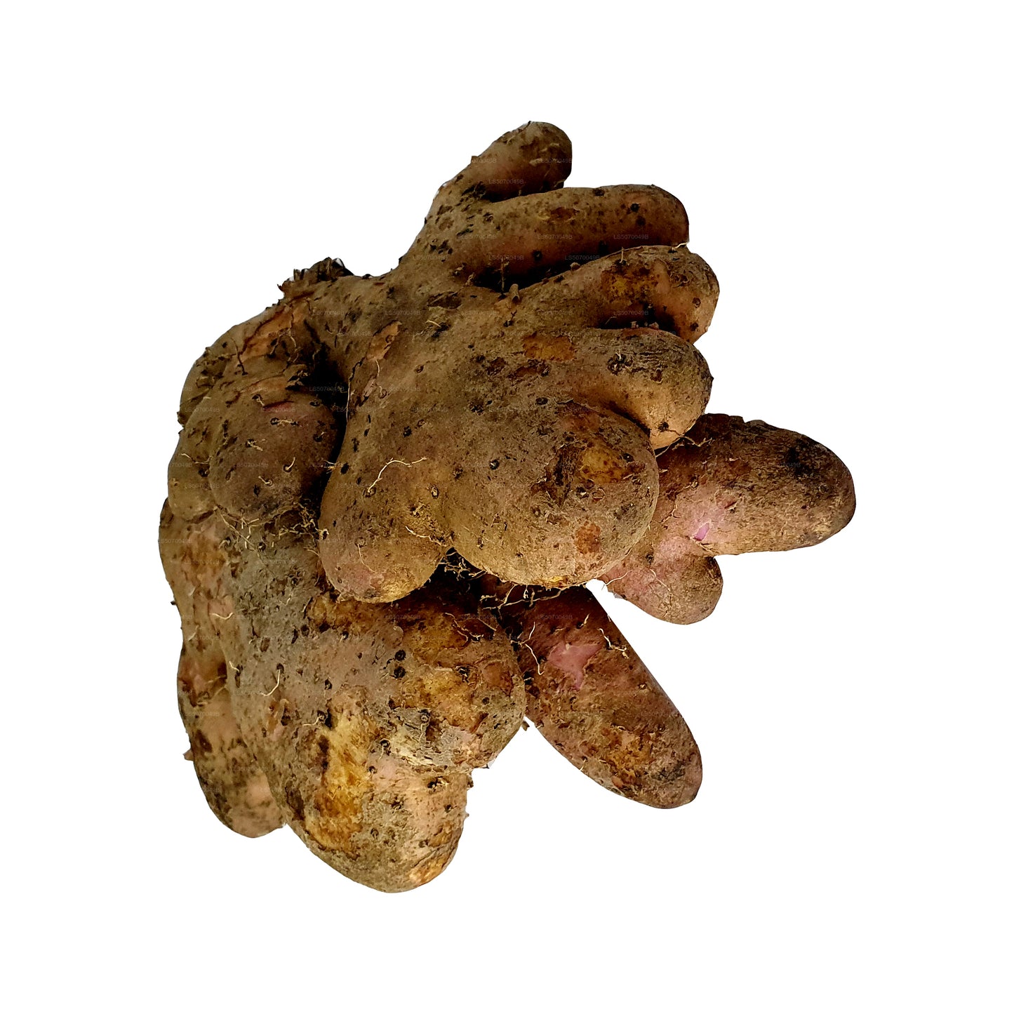 Лакпура Хингурала Ям