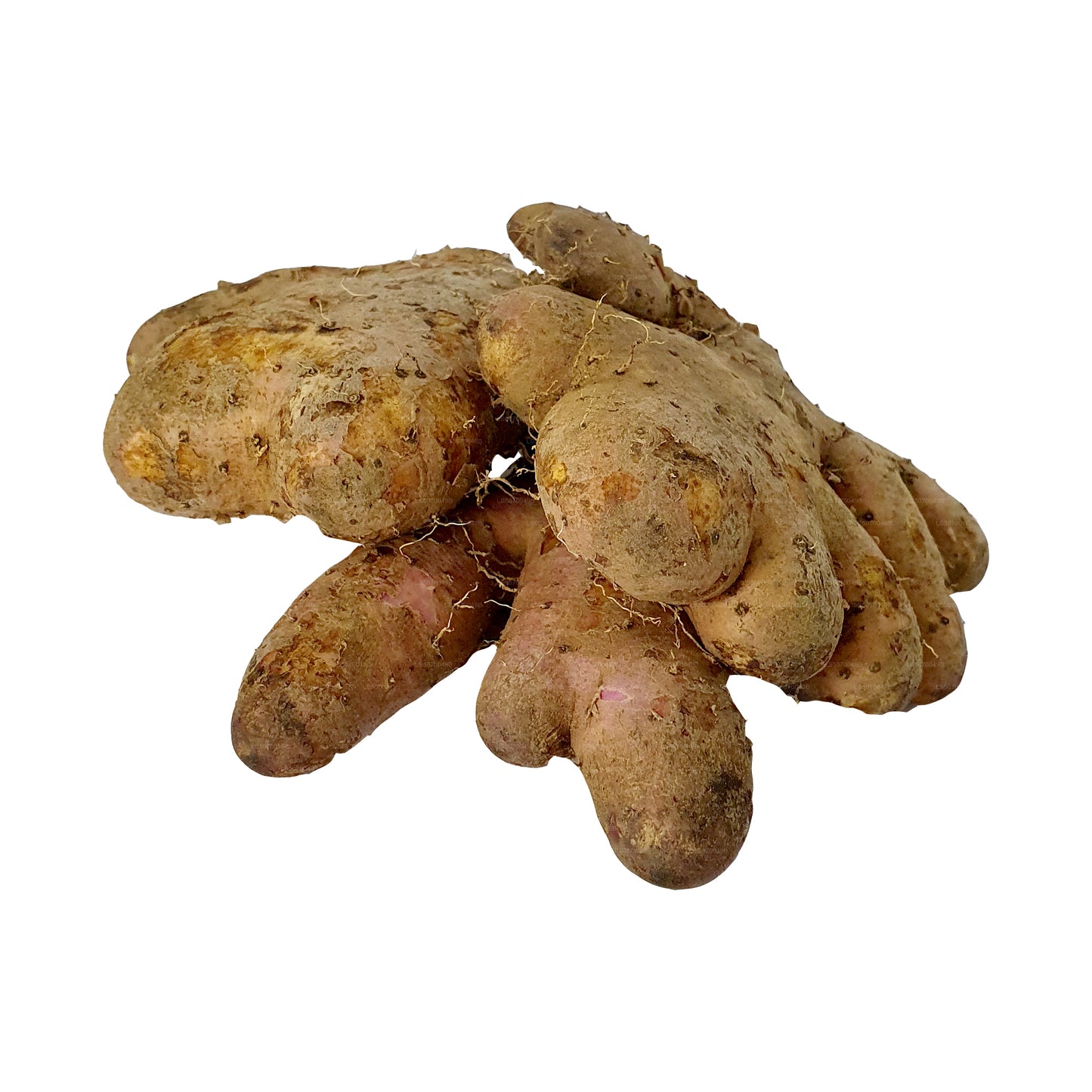 Лакпура Хингурала Ям