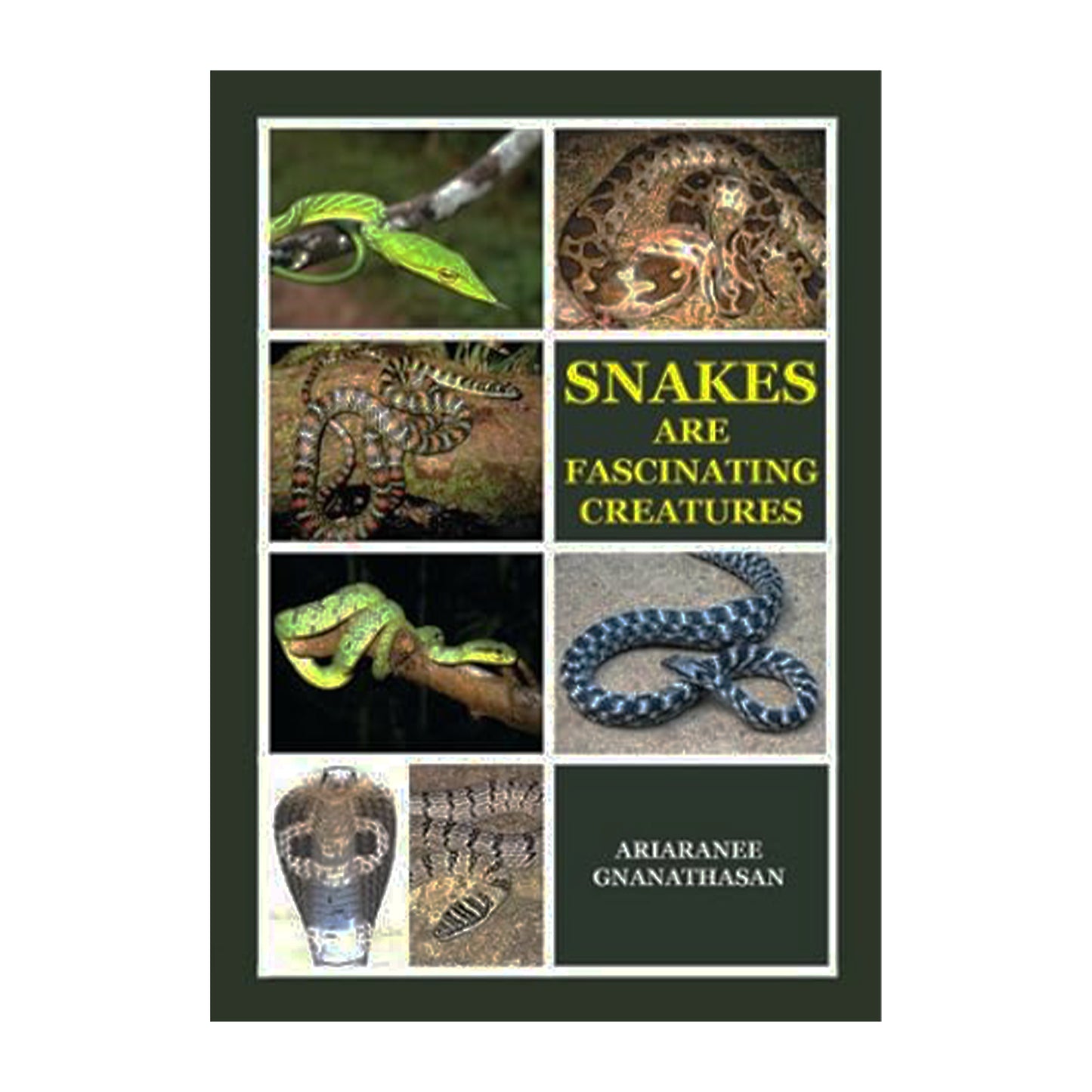 Змеи — удивительные существа