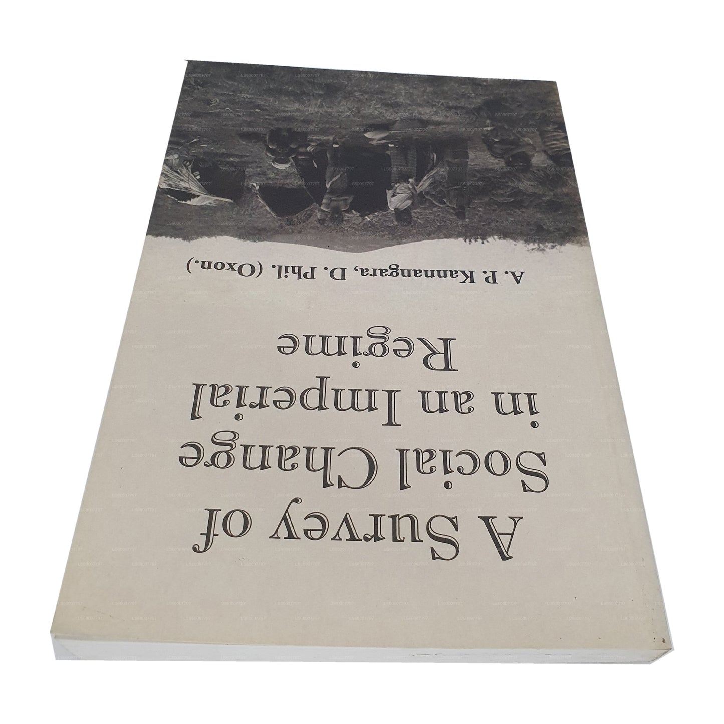 Обзор социальных изменений в имперском режиме