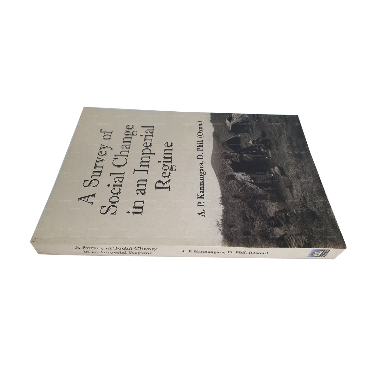 Обзор социальных изменений в имперском режиме