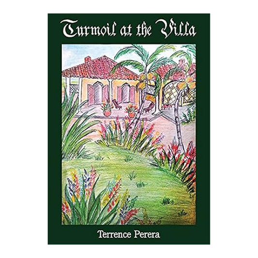 Суматоха на вилле