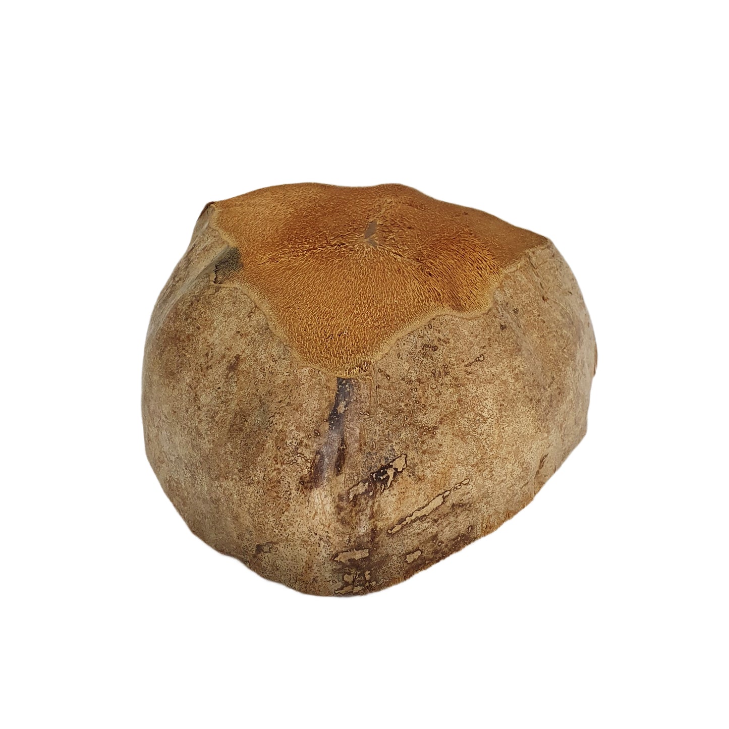 Дизайн натурального кокосового горшка Bivenro (свободный размер)