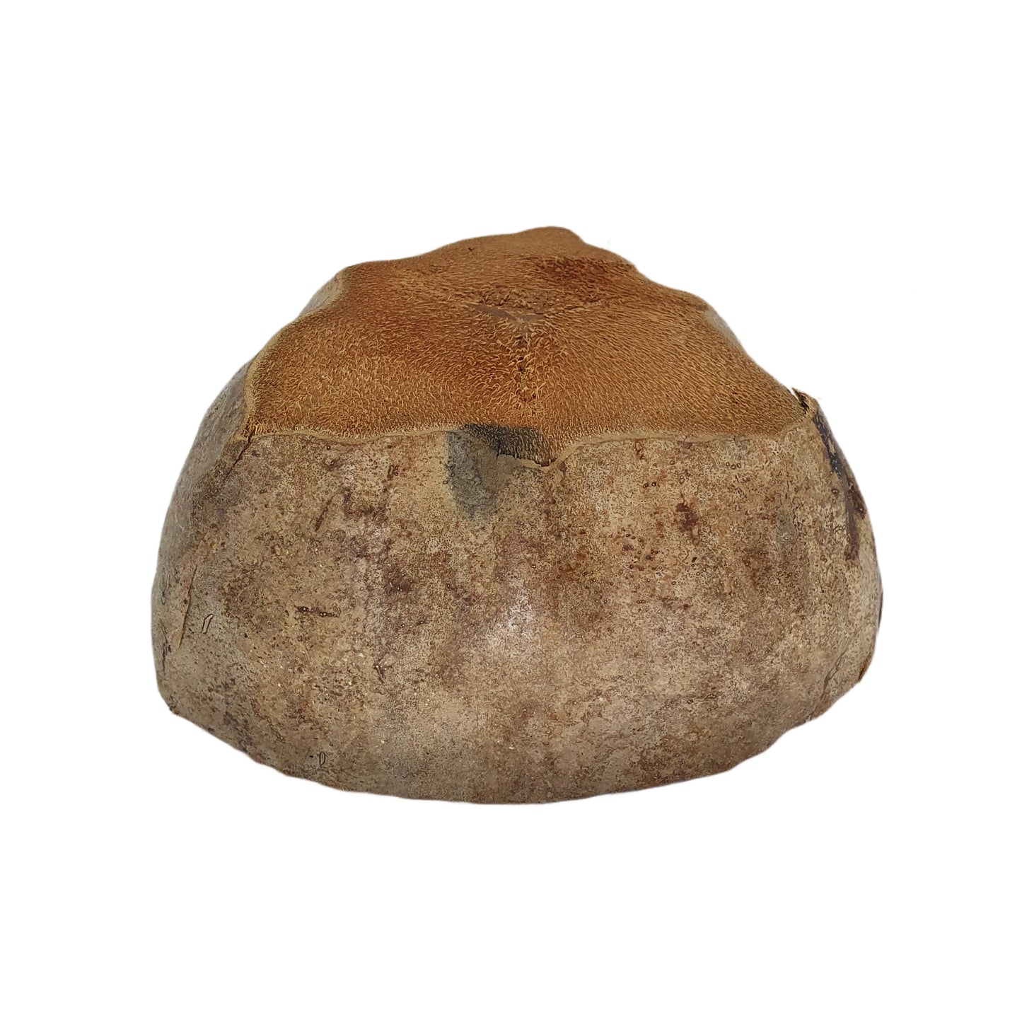 Дизайн натурального кокосового горшка Bivenro (свободный размер)