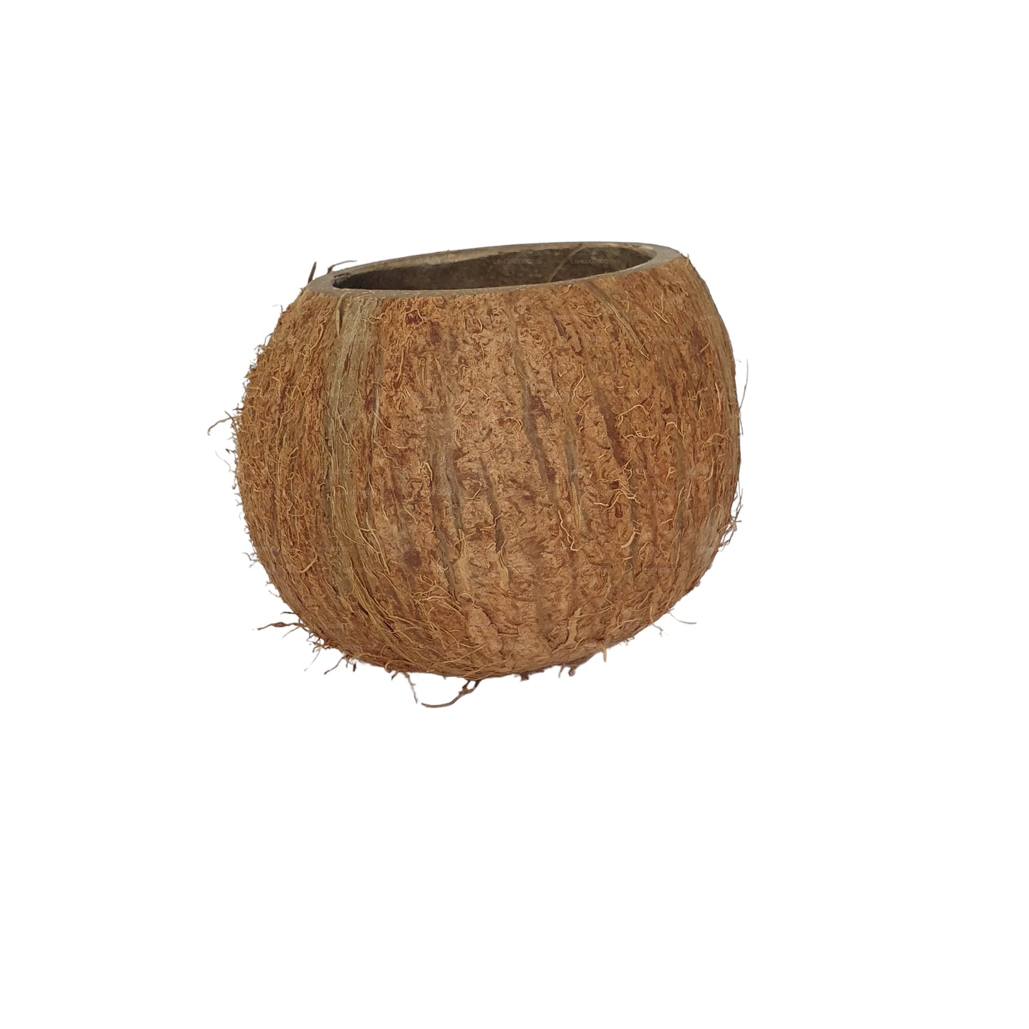 Пещера Bivenro Natural 3/4 из скорлупы кокоса (свободный размер)