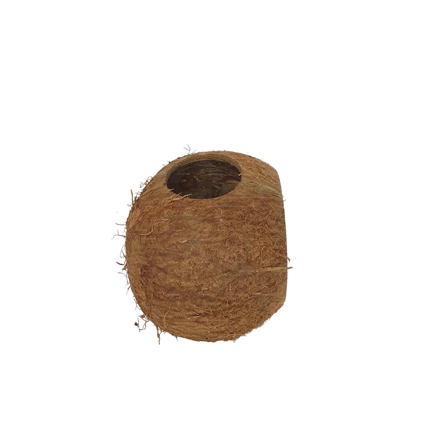 Пещера Bivenro Natural 3/4 из скорлупы кокоса (свободный размер)