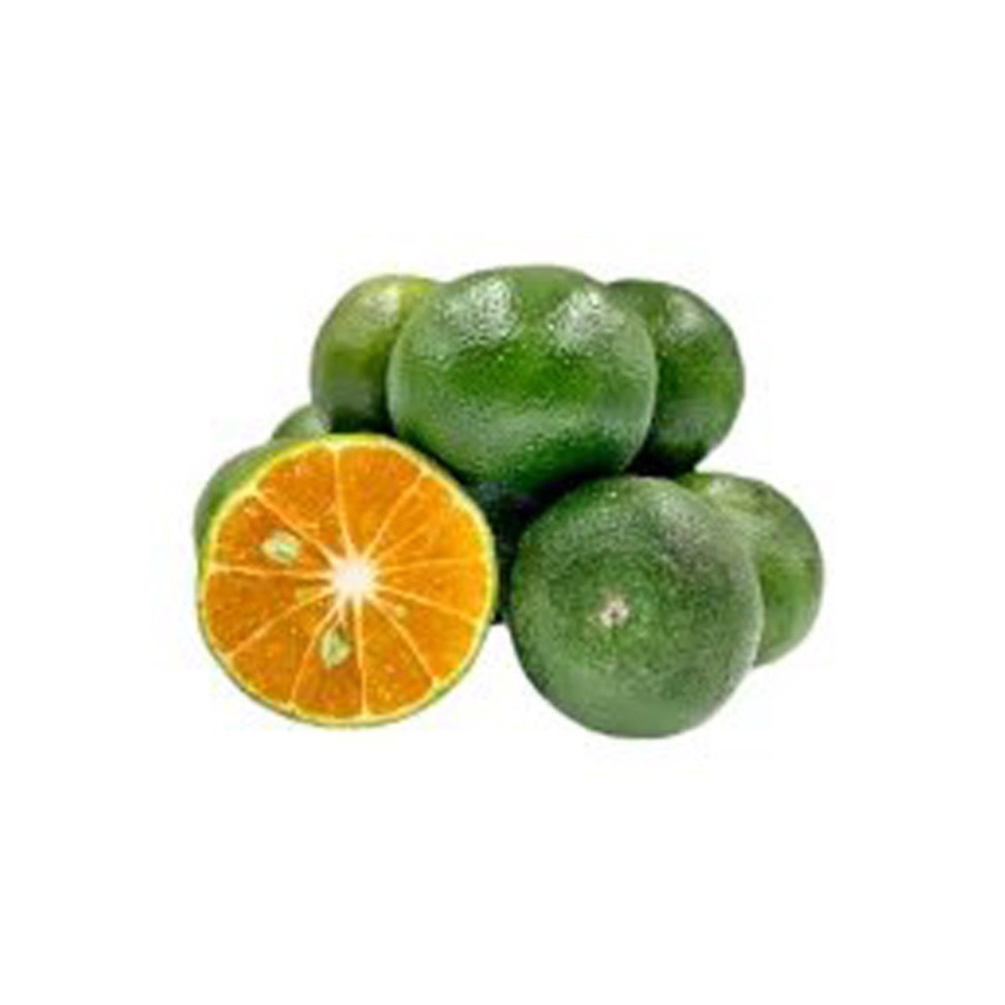 Привитое растение Лакпура Нас Наранг