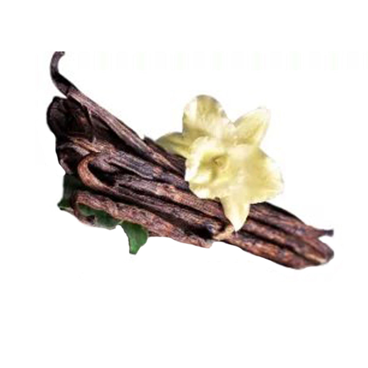 Ванильные () Пряные растения