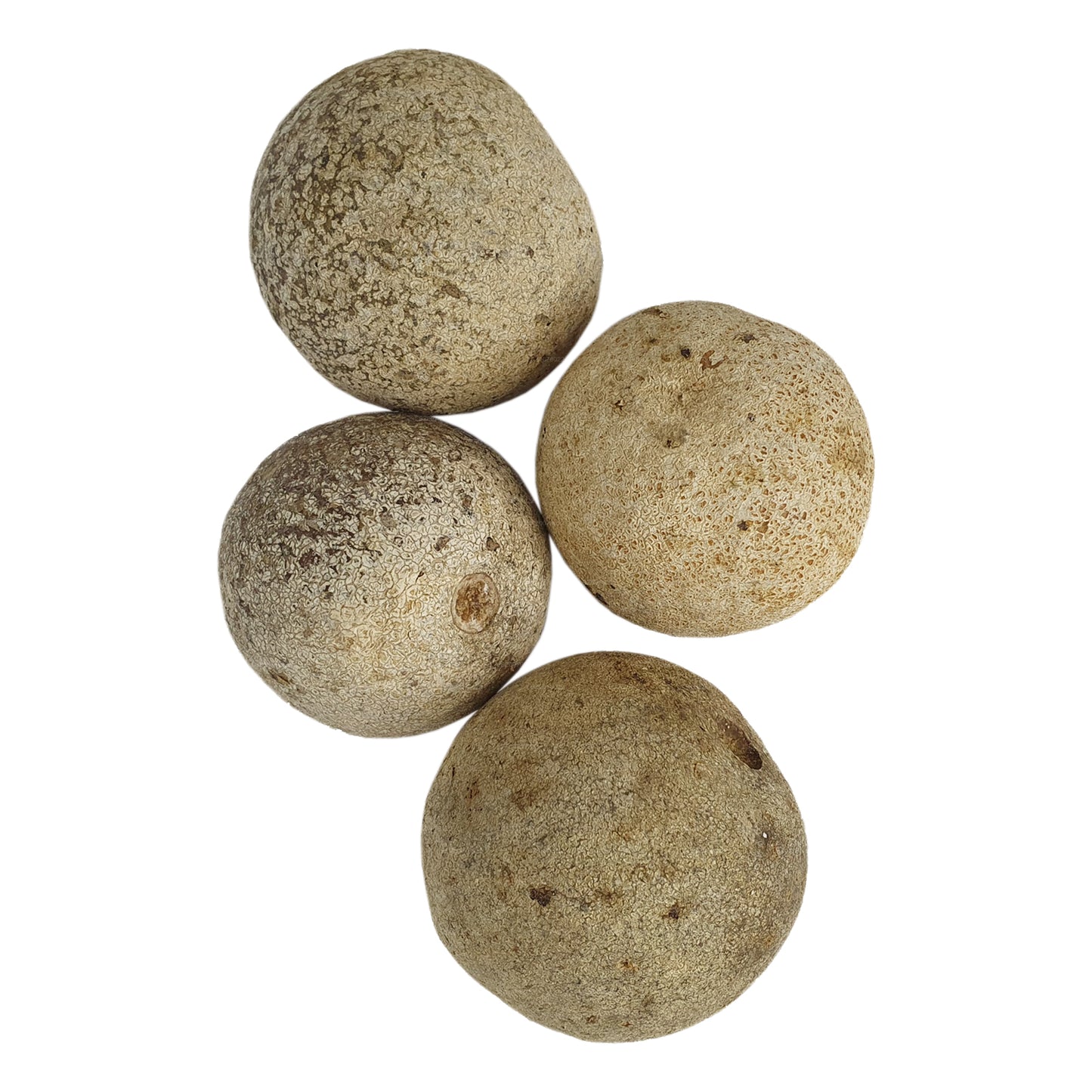 Деревянное яблоко Лакпура