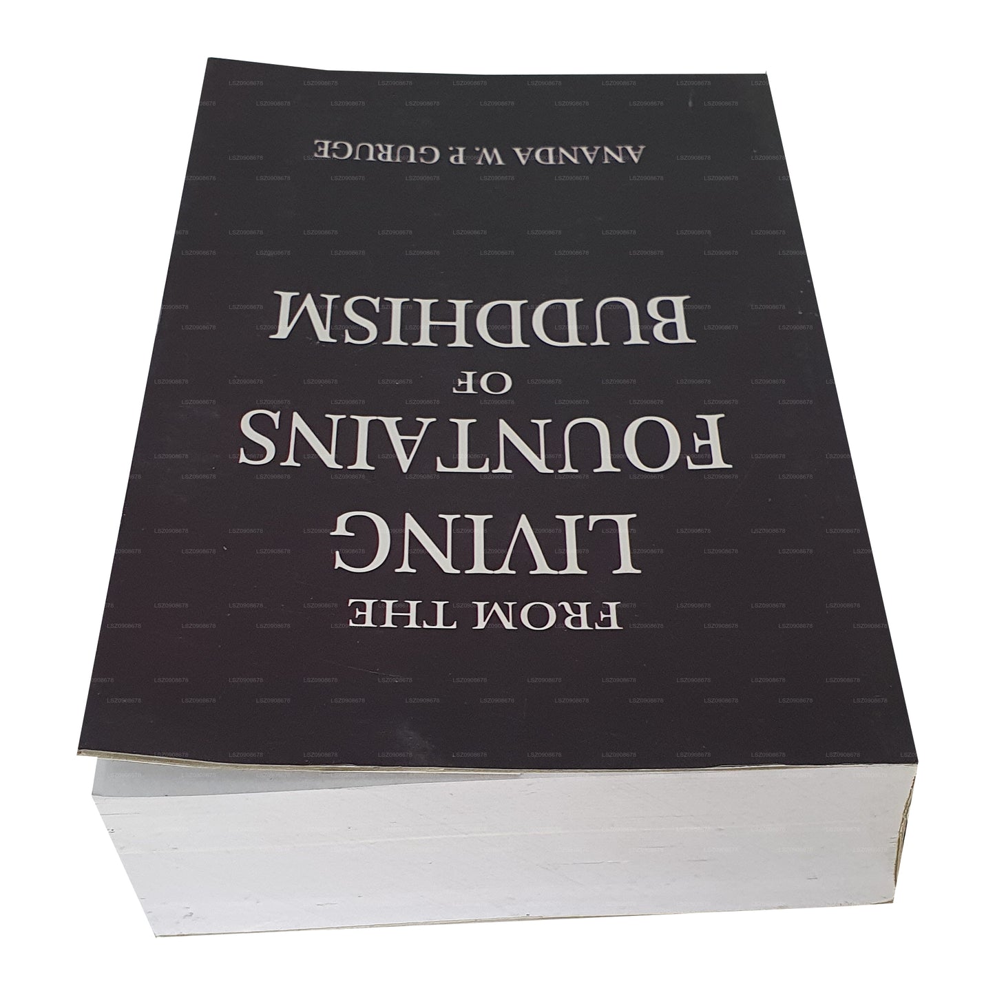 Из «Живых фонтанов буддизма»