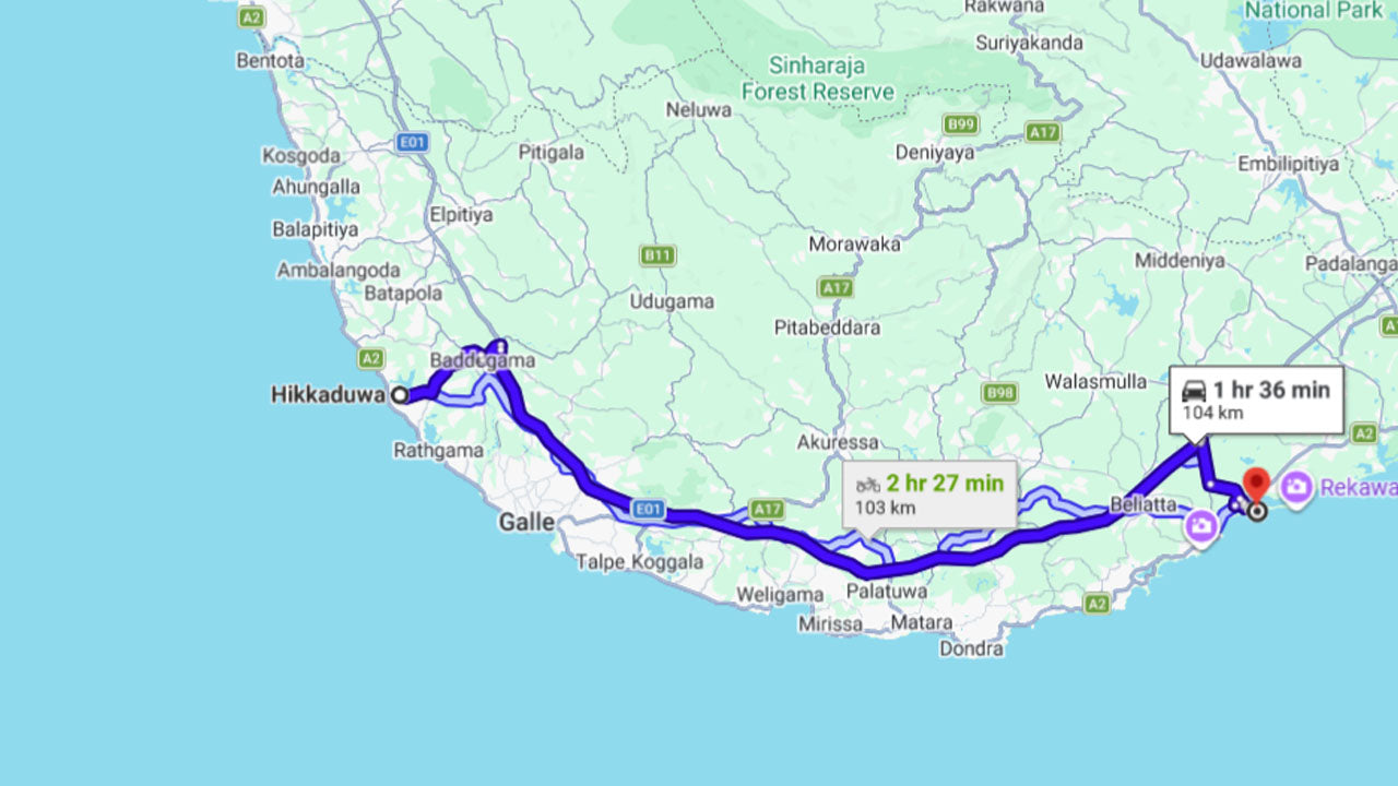 Выпуск детенышей черепах из Тангалле