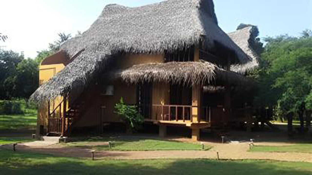 Дикий каджан, Катарагама