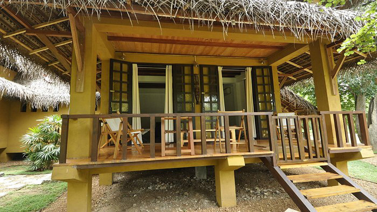 Дикий каджан, Катарагама