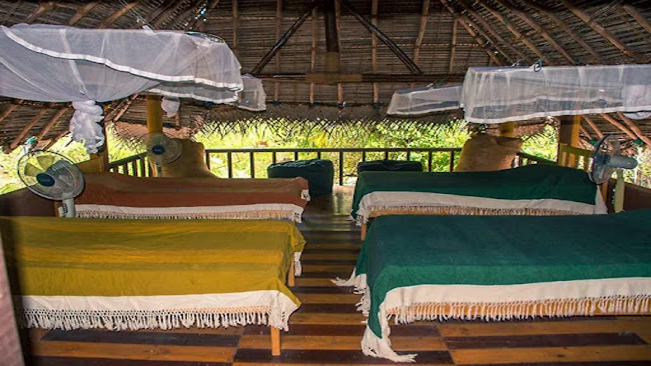 Дикий каджан, Катарагама