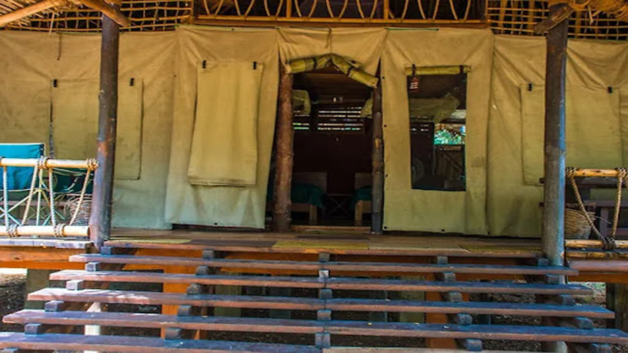 Дикий каджан, Катарагама