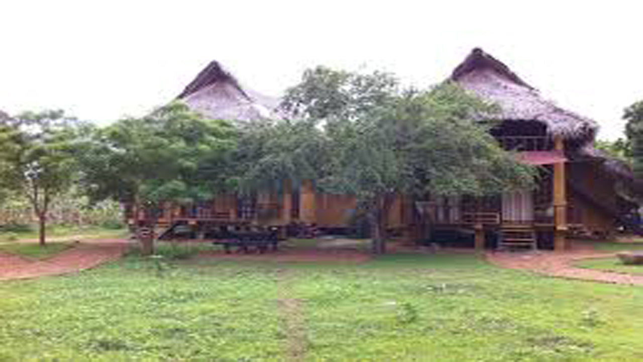 Дикий каджан, Катарагама