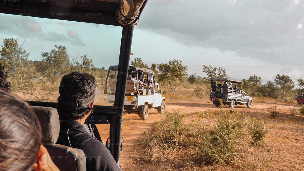 Удавалаве и Галле из Коломбо (2 дня)