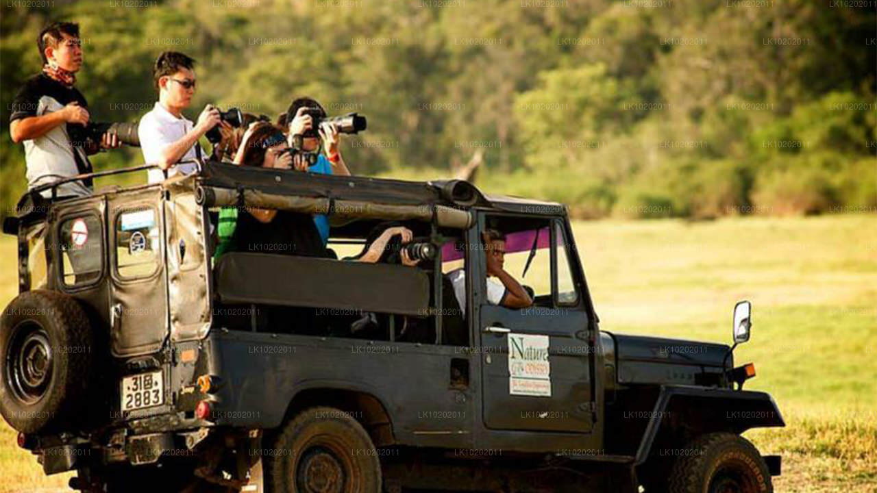 Сигирия и Миннерия из Коломбо (2 дня)