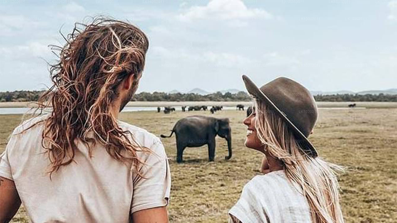 Сигирия и Миннерия из Коломбо (2 дня)