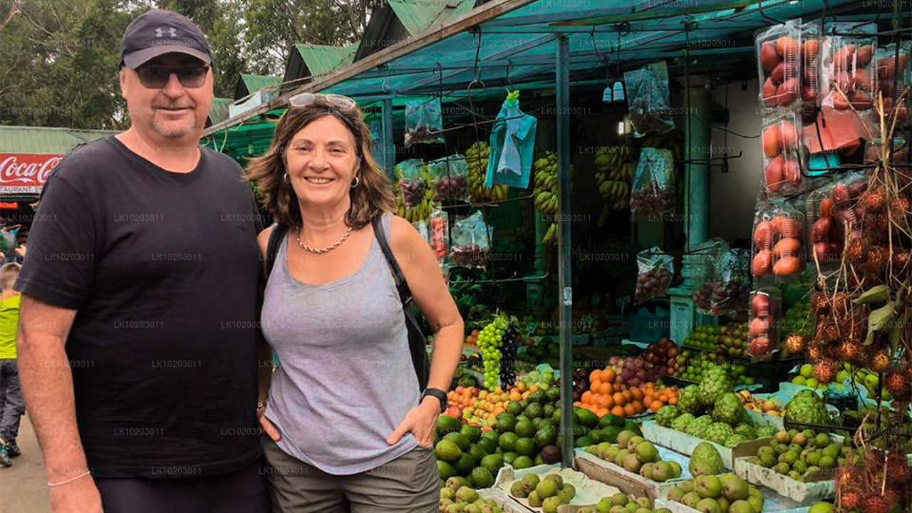 Нувара Элия из Коломбо (2 дня)