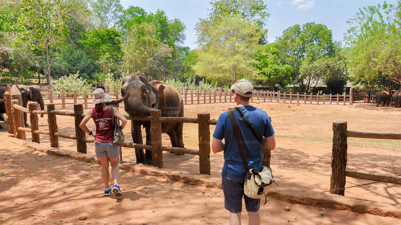 Культура холмов из Коломбо (2 дня)