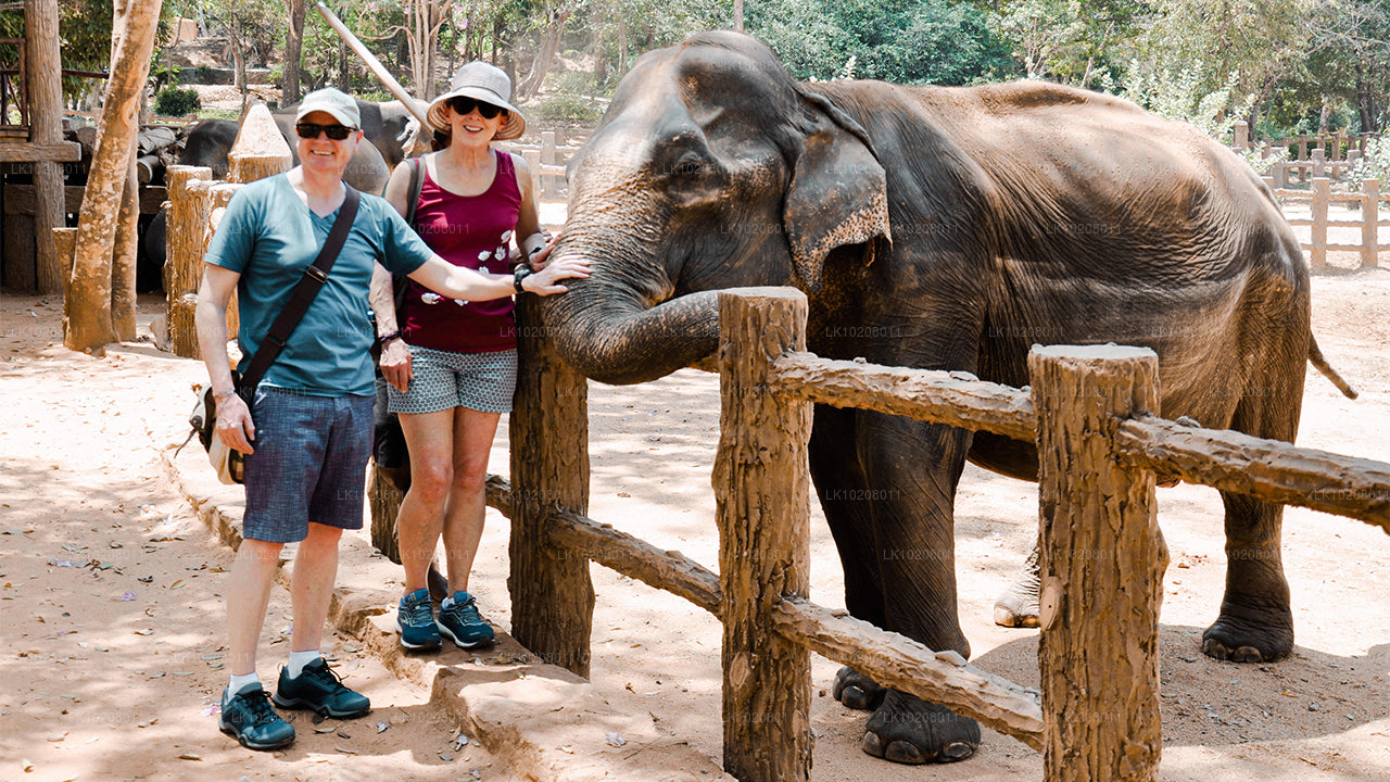 Культура холмов из Коломбо (2 дня)