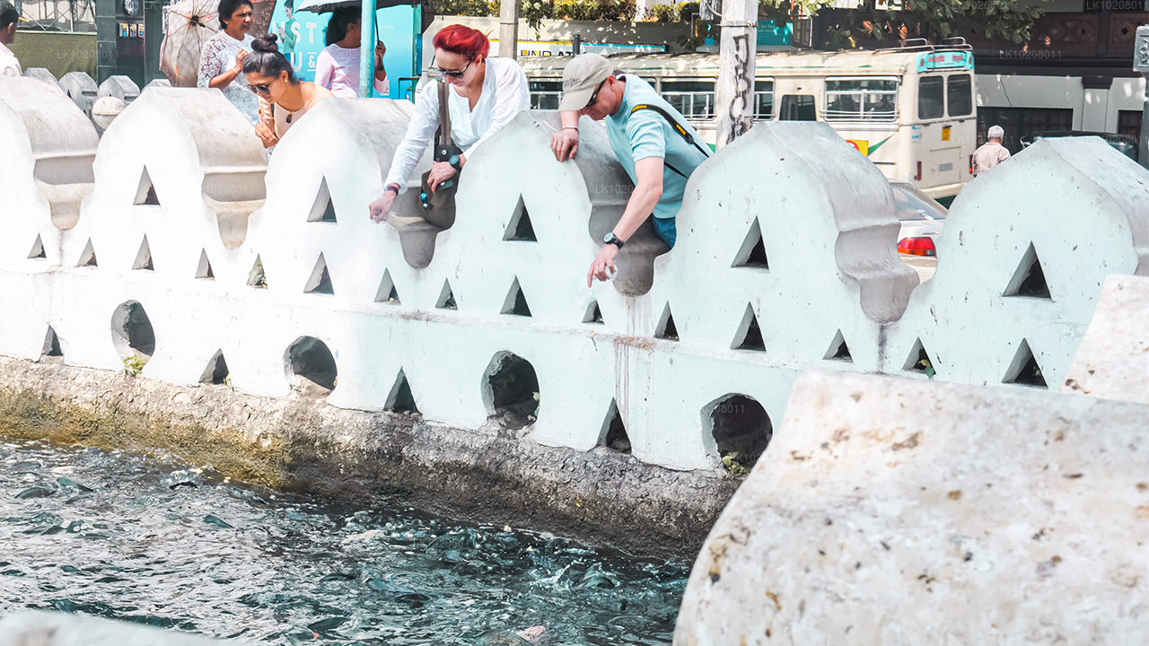 Культура холмов из Коломбо (2 дня)