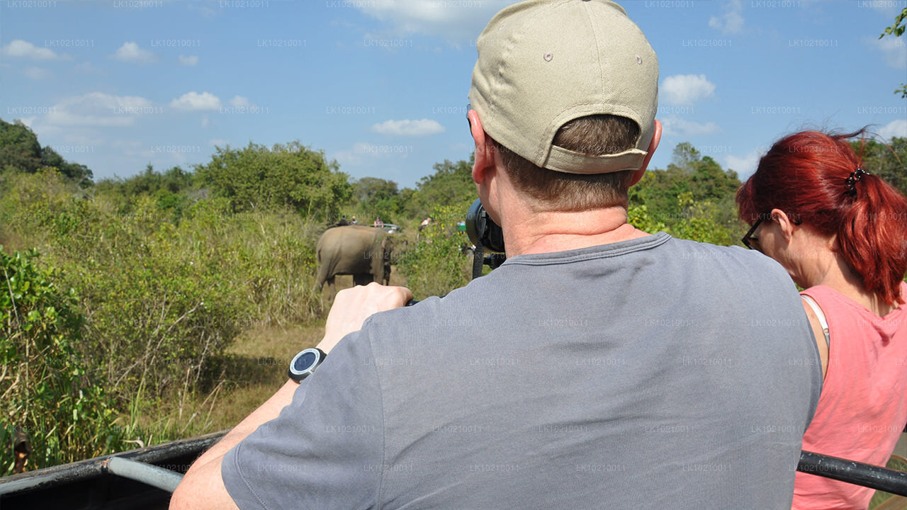 Тур по дикой природе и всемирному наследию из Галле (2 дня)