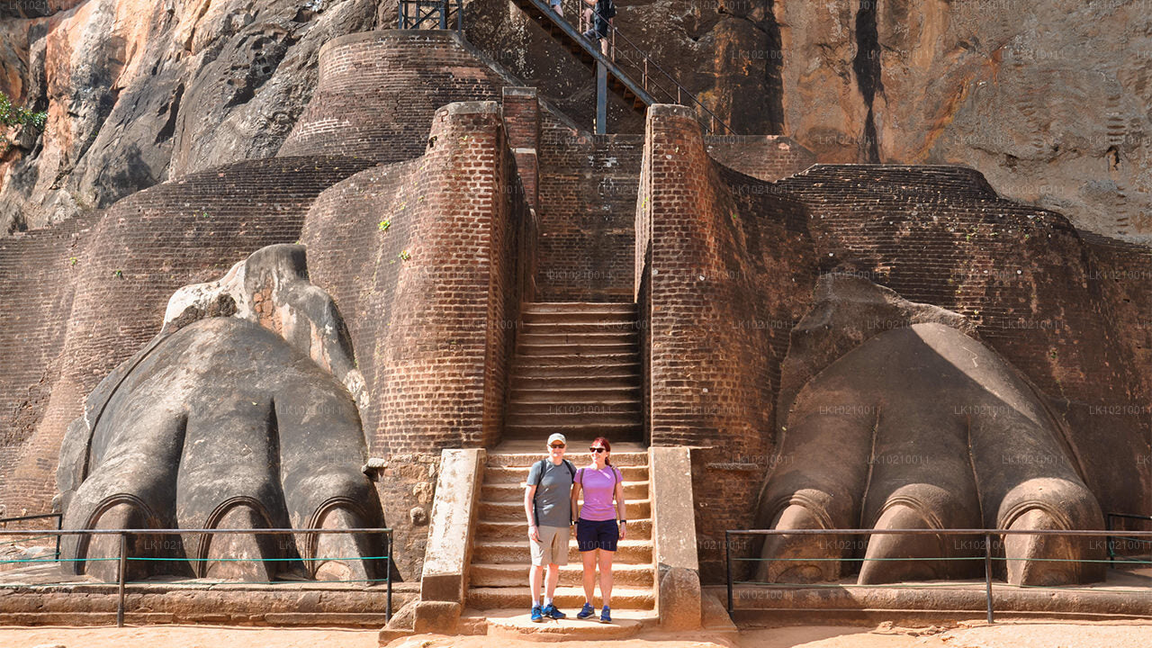 Тур по дикой природе и всемирному наследию из Галле (2 дня)