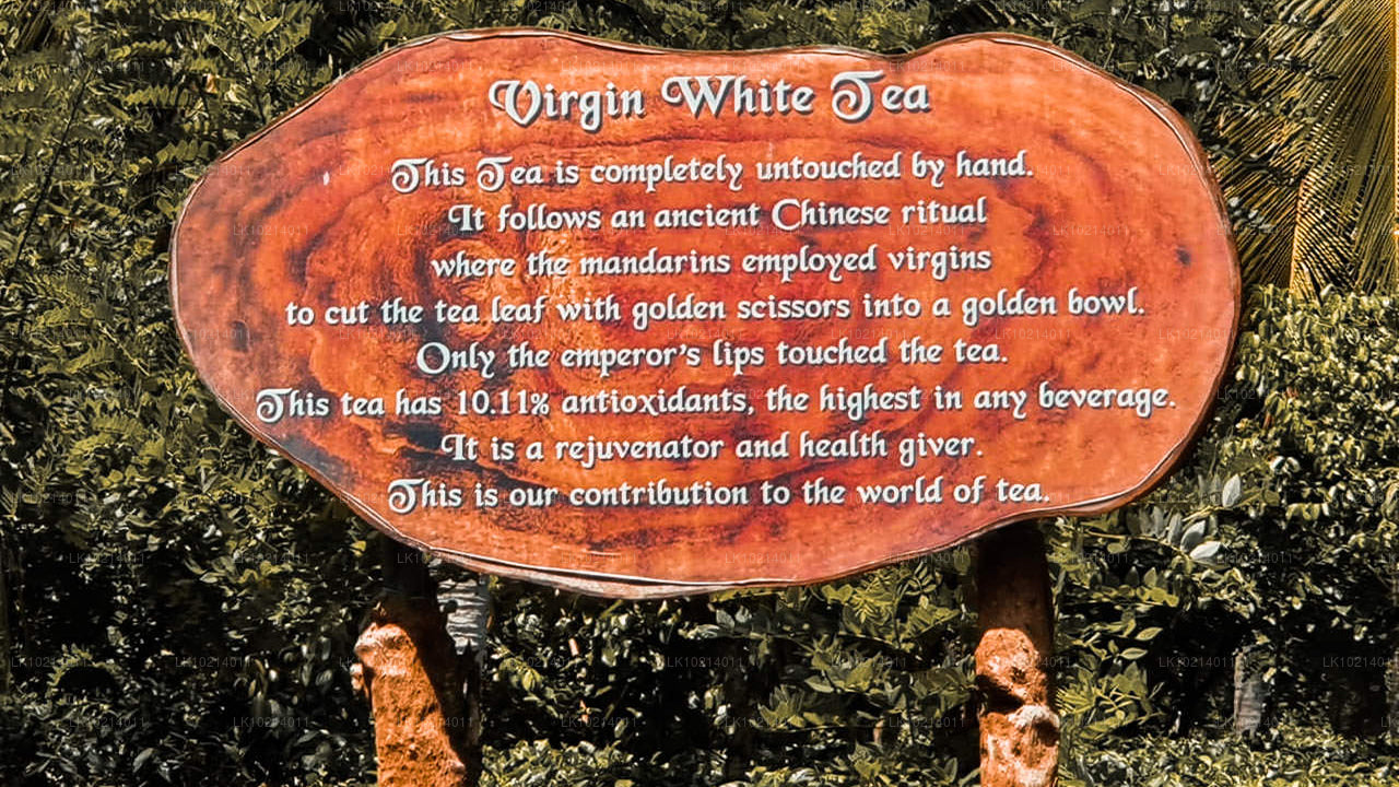 Ахангама и Мирисса из Бентоты (2 дня)