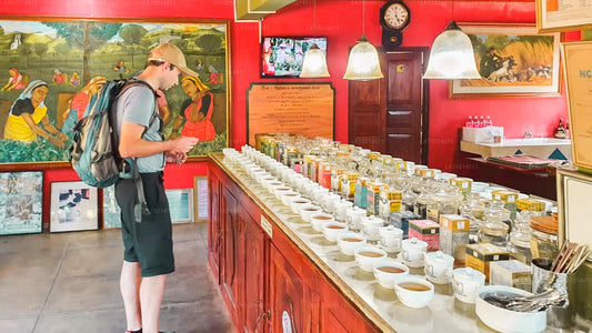 Ахангама и Мирисса из Бентоты (2 дня)