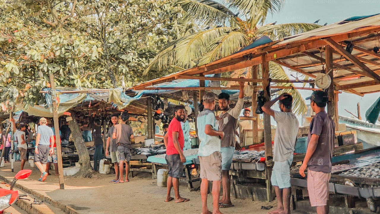 Ахангама и Мирисса из Бентоты (2 дня)