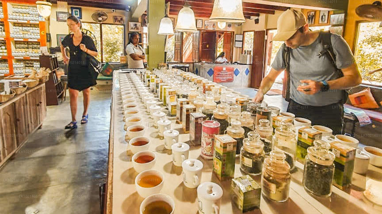 Ахангама и Мирисса из Бентоты (2 дня)