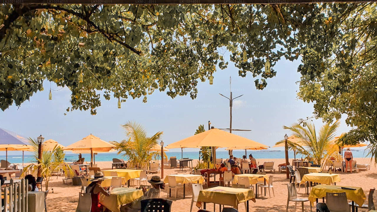 Ахангама и Мирисса из Бентоты (2 дня)