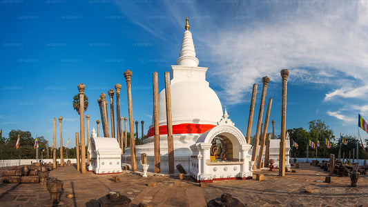 Тур «Дикие чудеса и священные места» из Галле (2 дня)