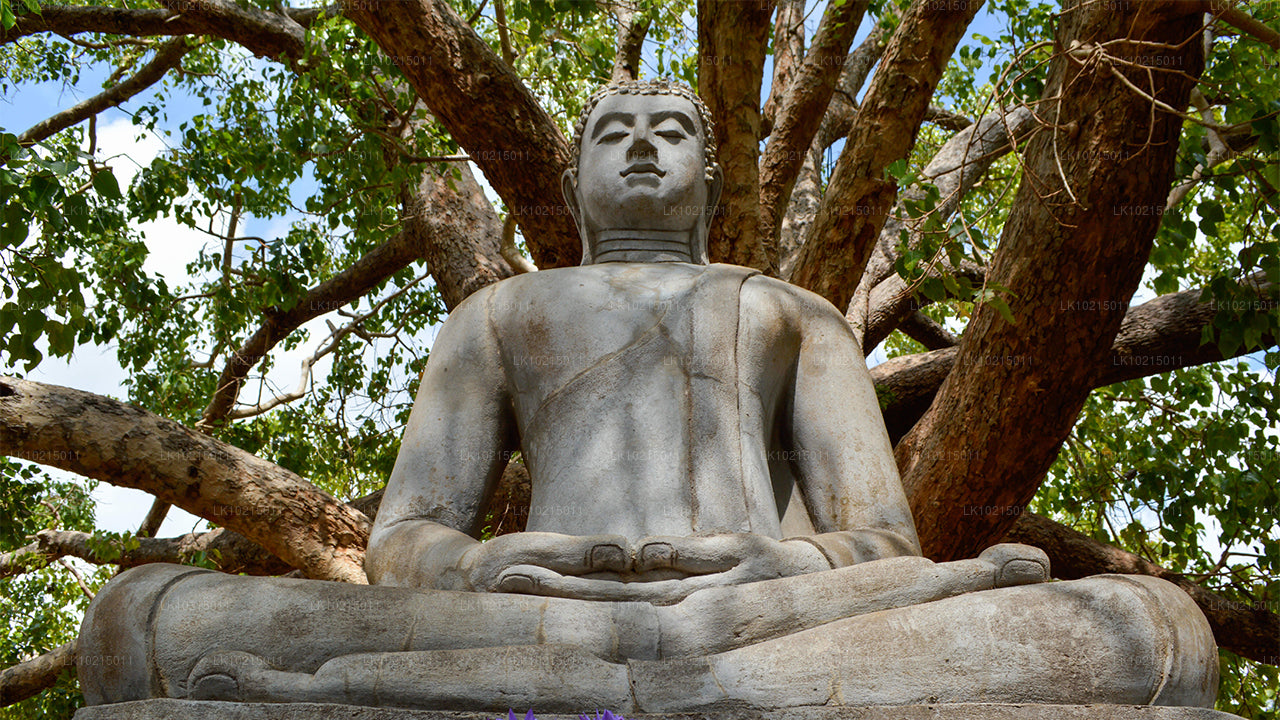 Тур «Дикие чудеса и священные места» из Галле (2 дня)