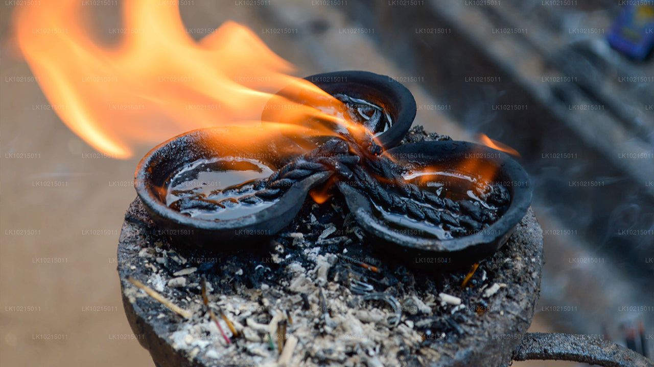 Тур «Дикие чудеса и священные места» из Галле (2 дня)