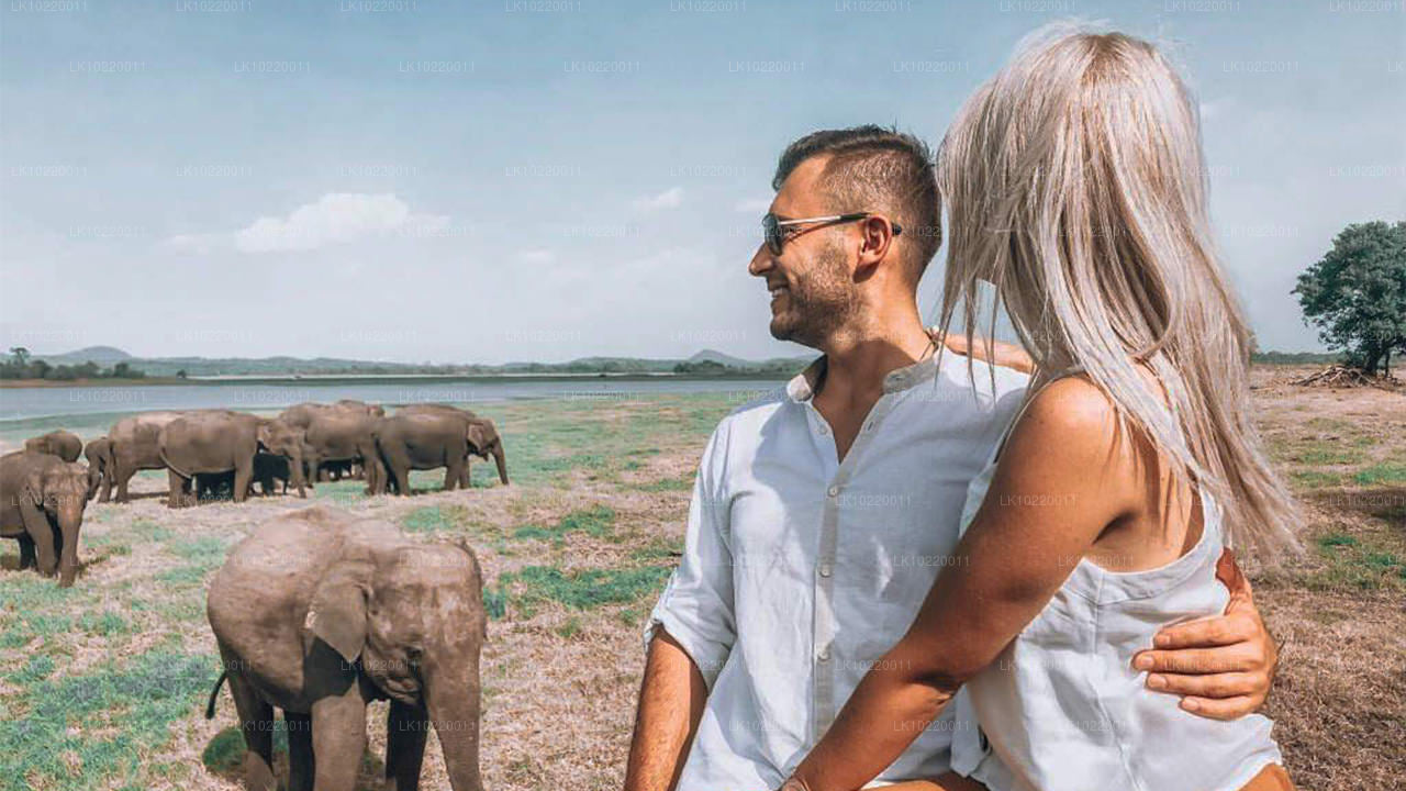 «Этос Цейлона» из Канди (2 дня)