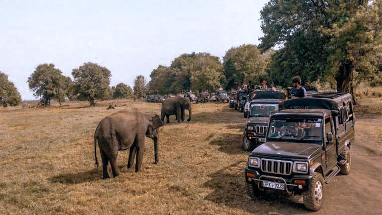 «Этос Цейлона» из Канди (2 дня)