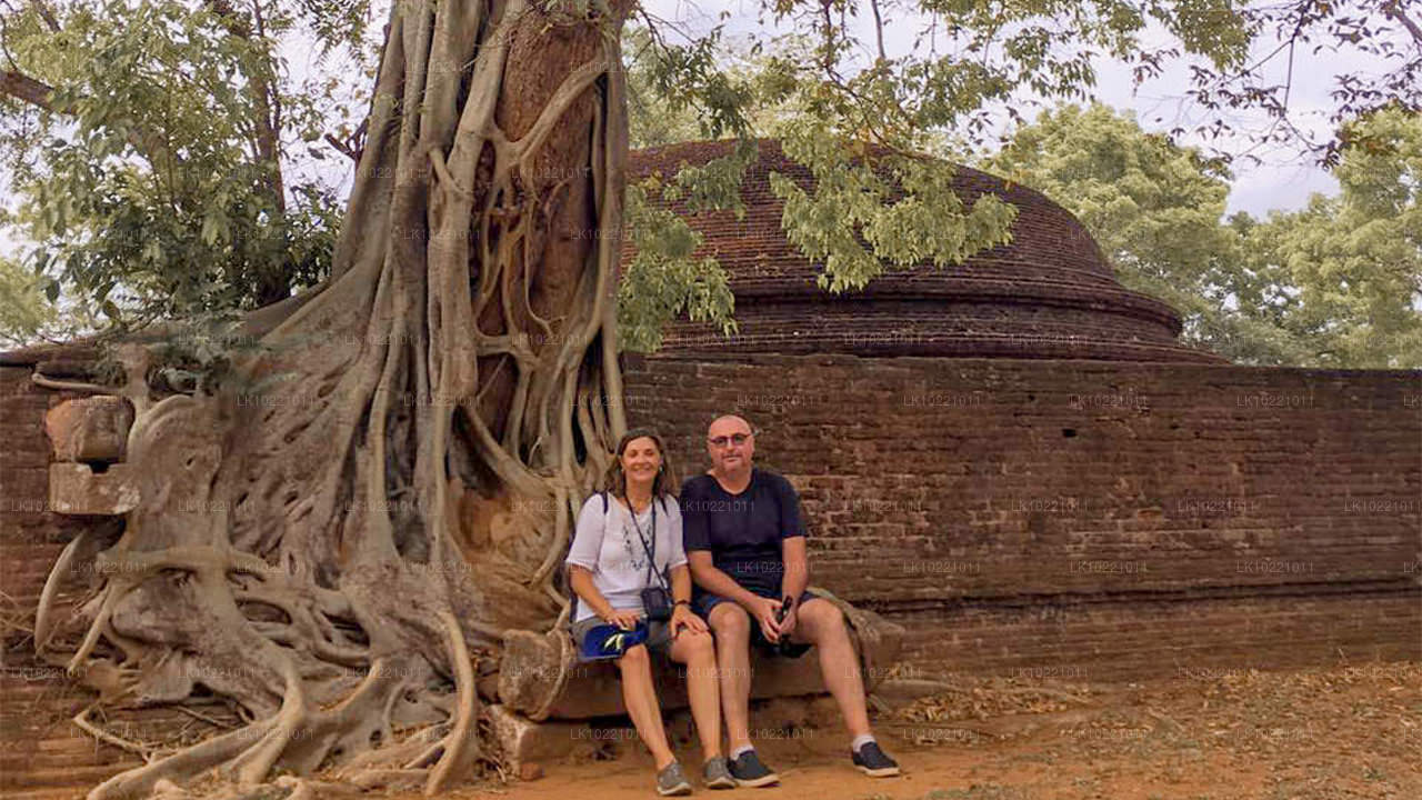 Анурадхапура из Канди (2 дня)