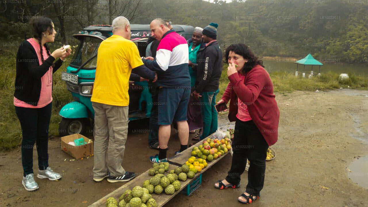 Горная слава из Канди (2 дня)