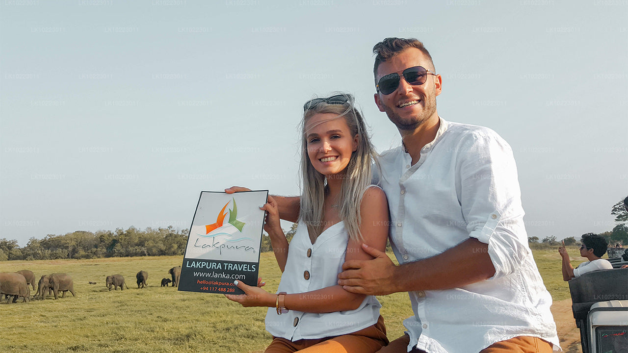 Сигирия и Миннерия из Негомбо (2 дня)