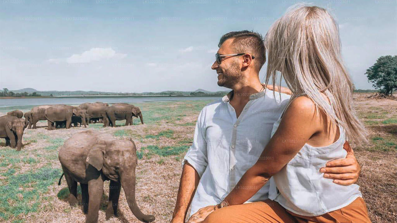 Сигирия и Миннерия из Негомбо (2 дня)