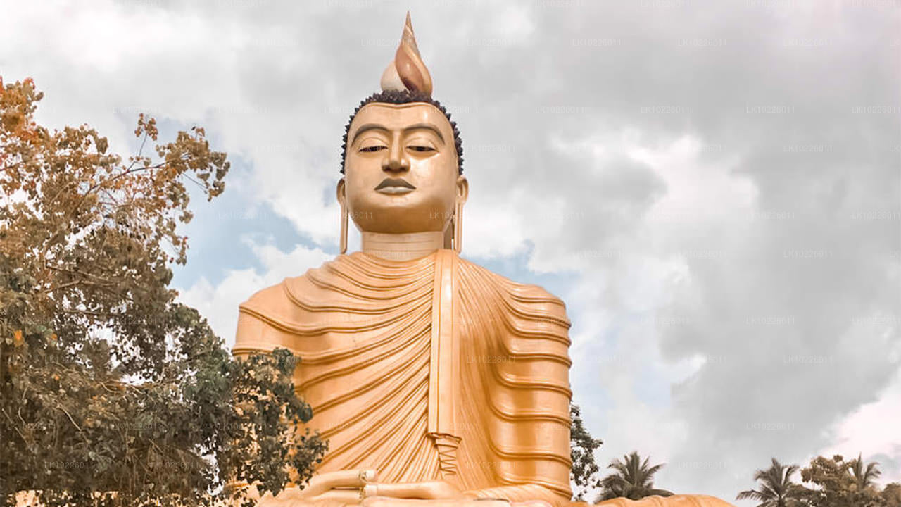 Храмы и дикая природа Негомбо (2 дня)