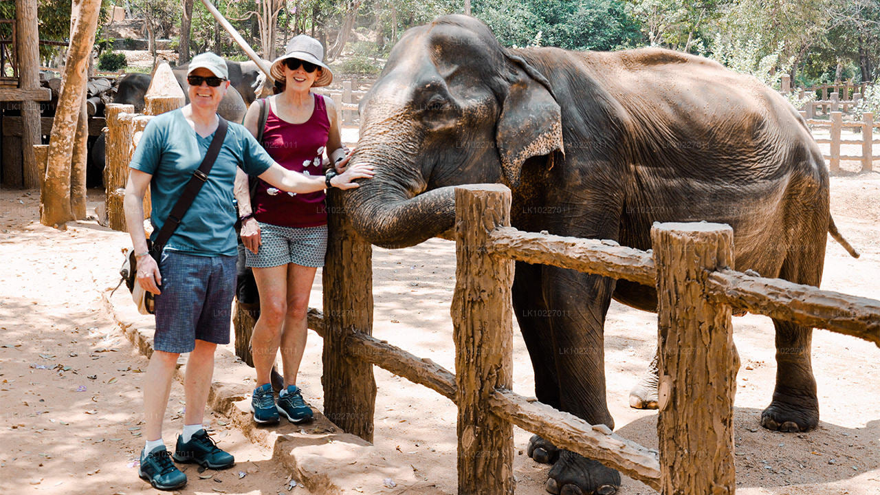 Культура холмов Негомбо (2 дня)
