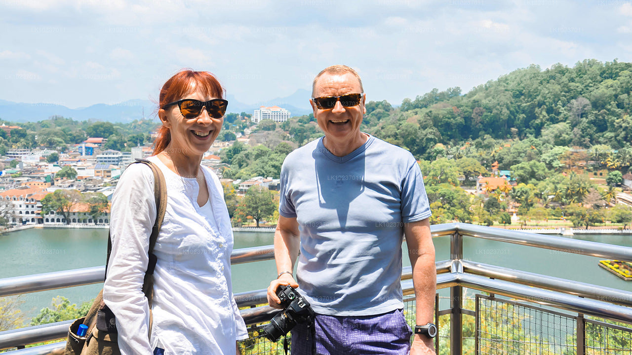 Тур «Культура холмов» из Галле (2 дня)