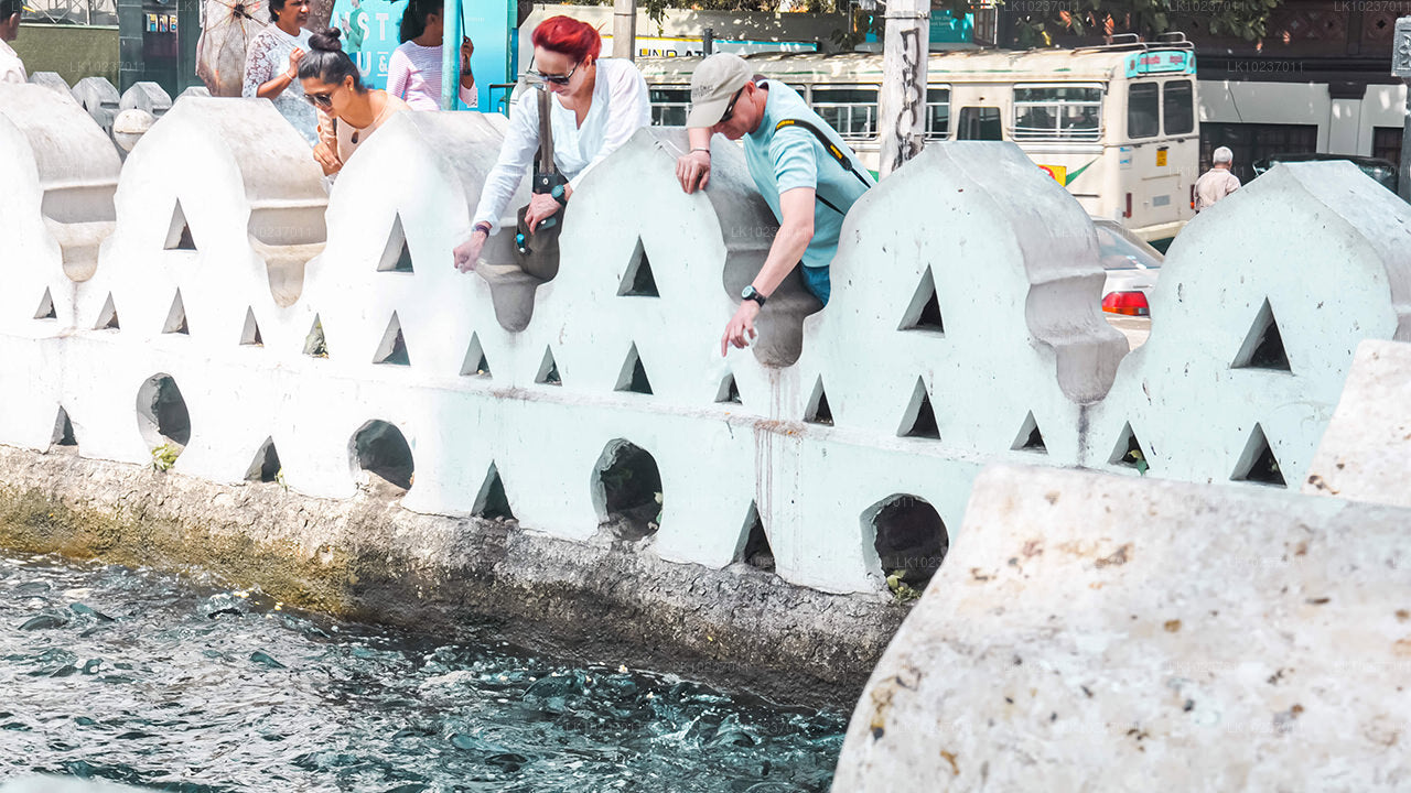 Тур «Культура холмов» из Галле (2 дня)