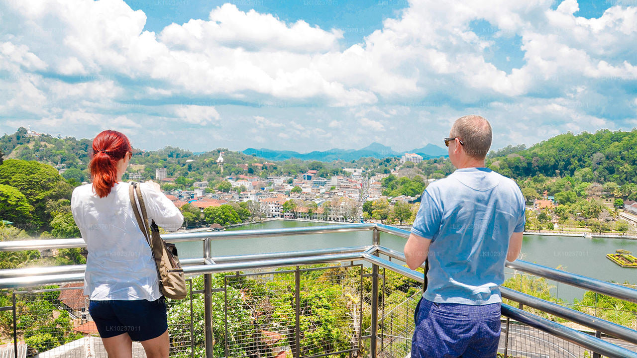 Тур «Культура холмов» из Галле (2 дня)